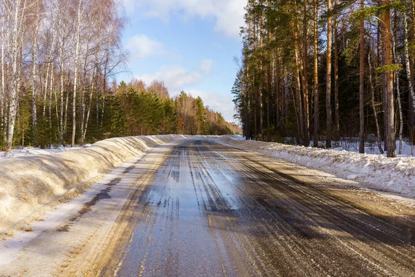 The road with melted snow through the winter forest
