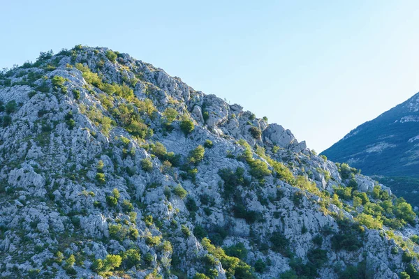 Gipfel der mit Vegetation bewachsenen Berge — Stockfoto