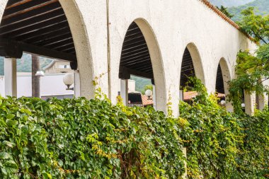 Kemerleri, yeşil çalıları ve sarmaşıkları olan beyaz bir taş bina..