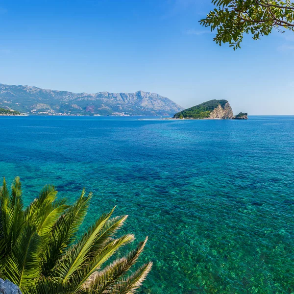 Island in the bay near the town of Budva framed by green palm leaves — Stock Photo, Image