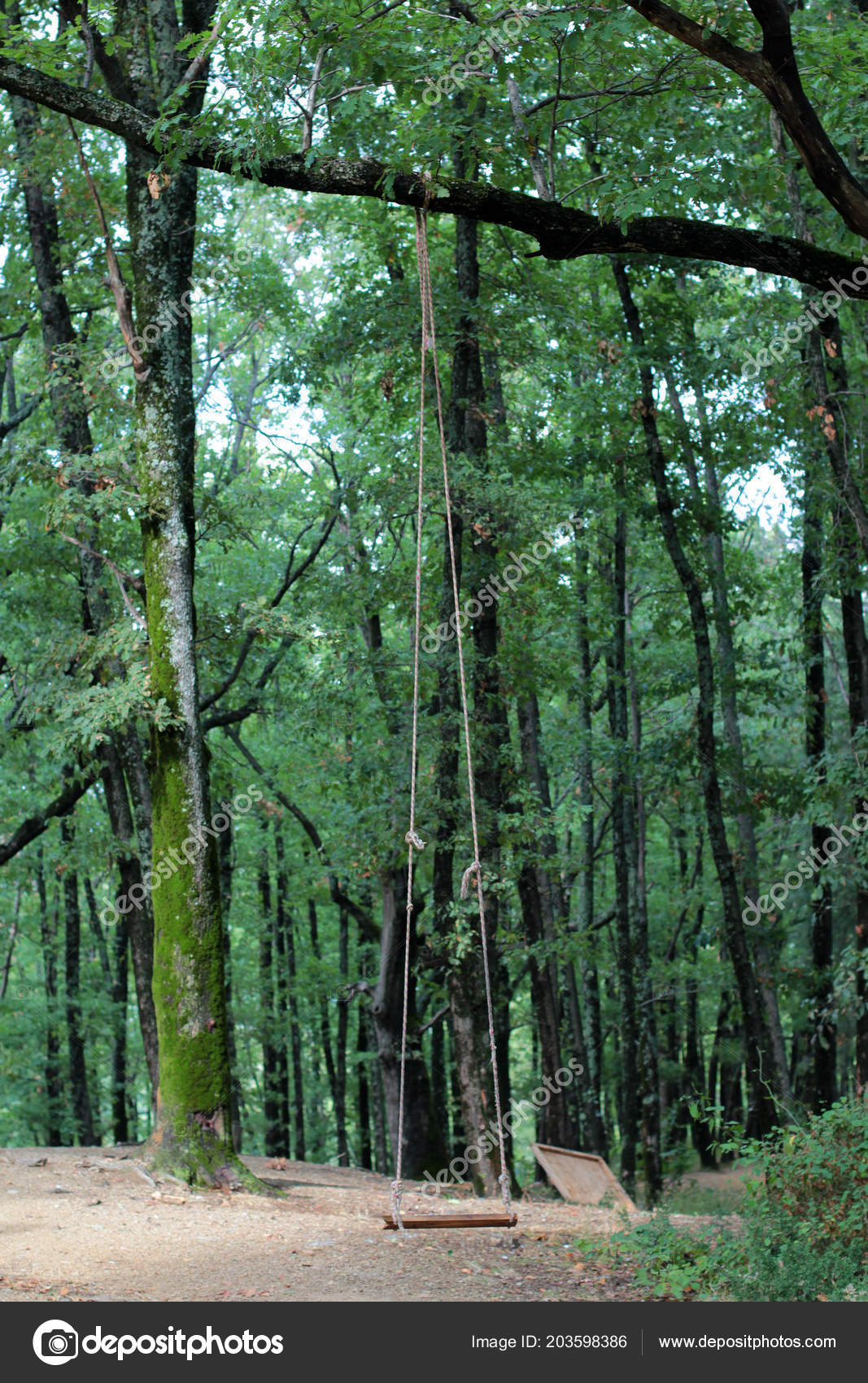 Romantic Scene Single Swing Hanging Tree Branch Stock