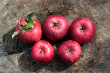 Beş Olimpiyat elma ahşap arka plan üzerinde