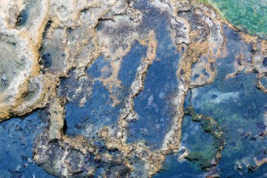 tedavi maden suyu, doğal kaplıca Karlovy Vary, Çek Cumhuriyeti. hidrojen sülfür