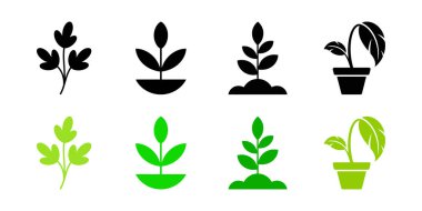 Bitki ve ağaç vektör ikonlarının büyüyen aşamaları hem yeşil hem de siyah olarak gösterilmiştir. Bitkiler farklı safhalardadır ve beyaz arka planda yapraklar vardır..