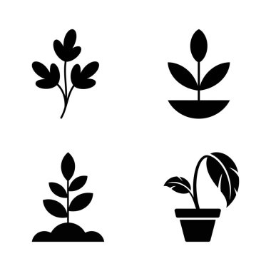 Siyah ve beyaz bitki büyüme ikonu seti yeni filizleri, büyüyen bitkileri, topraktan filizlenen bitkileri ve beyaz arka planda ölen bitkileri gösterir..