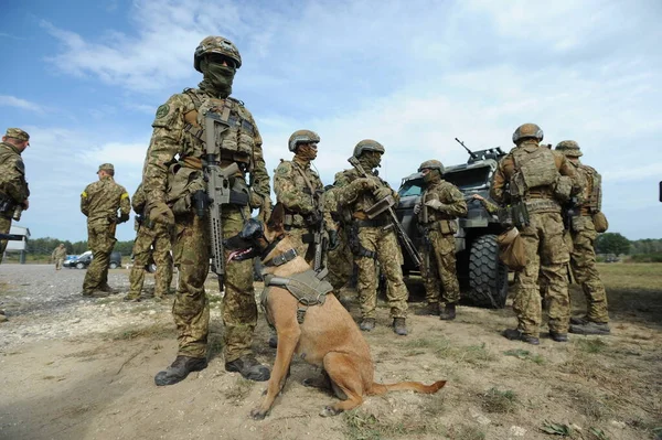 Yavoriv, Ukrayna, 24.09.2020. Rapid Trident - Ukrayna 'nın batısındaki Lviv kenti yakınlarındaki Yavoriv eğitim sahasında 2020 askeri tatbikat. Kızıl Haç.