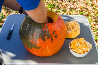 A person is digging into a large pumpkin to scoop out seeds and pulp in a backyard setting surrounded by fallen leaves and autumn colors.