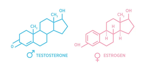 Seks hormonları moleküler formül östrojen ve testosteron hormonu sembolü. Stok vektörü
