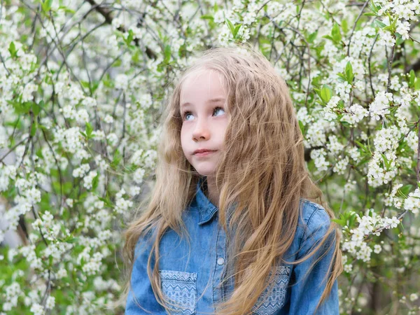 Портрет Девушки Джинсовой Рубашке Распущенными Волосами Вишневом Парке Девушка Опущенными — стоковое фото