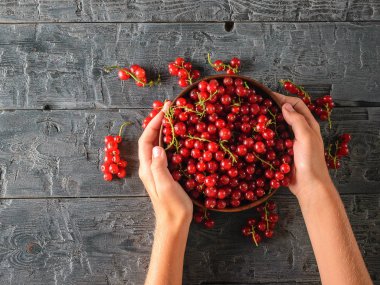 Kız bir kil kase ahşap bir masa üzerinde kırmızı kuş üzümü ile tutuyor. Sağlıklı doğal gıda kavramı. Üstten görünüm. Düz yatıyordu.