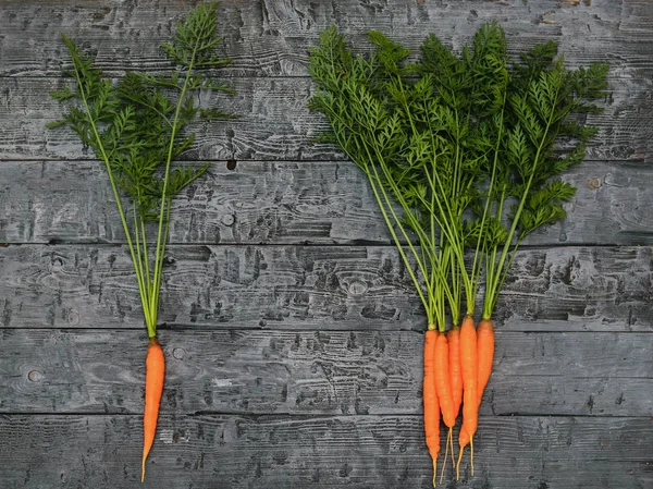 One carrot and a bunch of carrots on a black village table. The concept of vegetarian food with natural raw products. The view from the top. Flat lay.