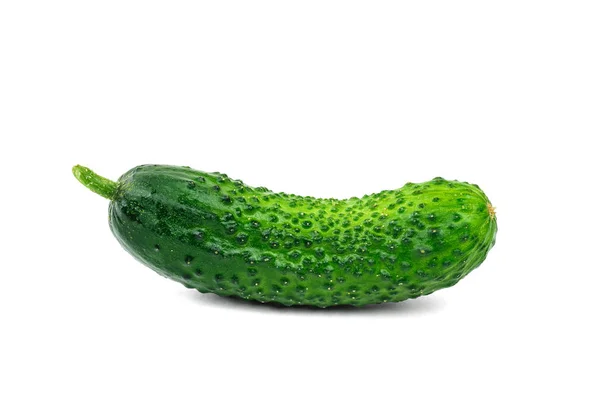 Beautiful fresh green cucumber isolated on white background. — Stock Photo, Image