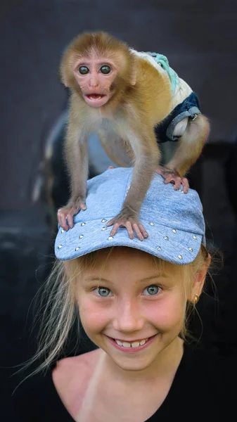 Girl Caucasian appearance with a monkey on the background of a stone wall. — Stock Photo, Image