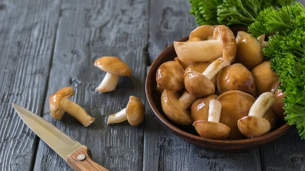 Messer und frische Pilze mit Petersilienblättern auf einem Holztisch. — Stockfoto