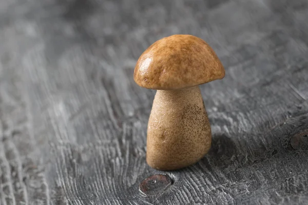 Freshly picked white mushroom on wooden background. — Stock Photo, Image