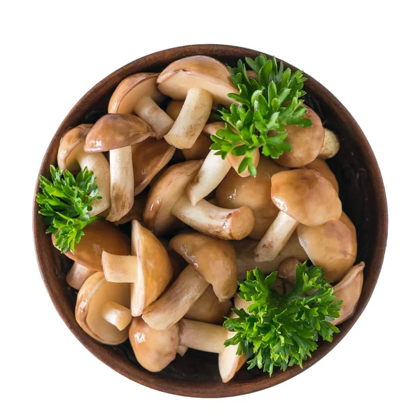粘土碗与新鲜的蘑菇和欧芹叶隔离在白色背景。顶部的视图. — 图库照片