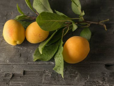 Olgun kayısı ve ahşap bir masa üzerinde yaprakları ile bir dal.