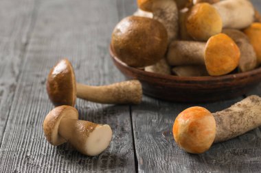 Ahşap bir masa üzerinde yabani mantar taze bir hasat ile Kil kase.