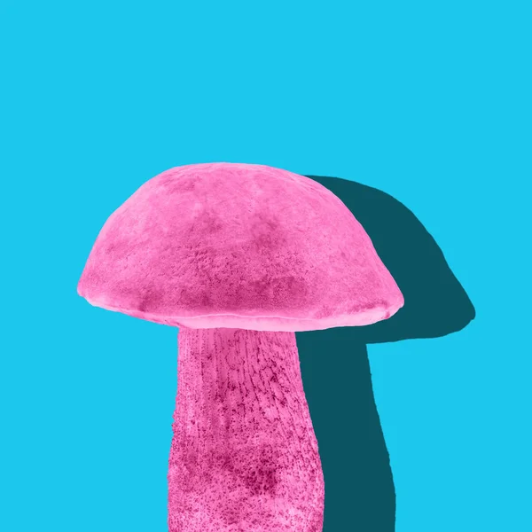 蓝色背景上的白色蘑菇。趋势色. — 图库照片