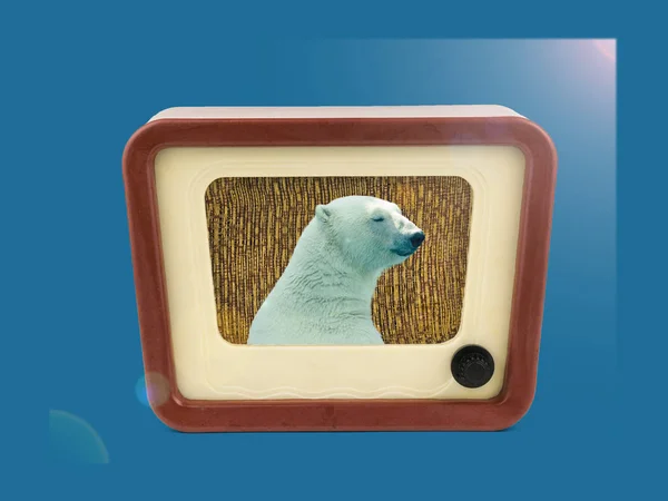 Uma colagem moderna de um urso polar em uma tela de TV antiga. Arte contemporânea . — Fotografia de Stock