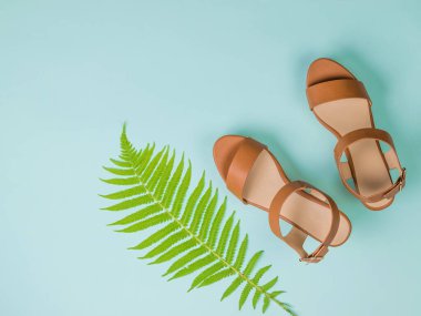 Mavi arka planda şık kadın terlikleri ve palmiye yaprağı. Düz yatıyordu.