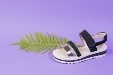 Bir eğreltiotu yaprağı ve mor arka planda siyah beyaz bir kadın sandaleti..