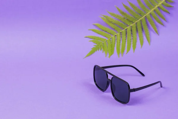 Okulary przeciwsłoneczne i liść palmowy na liliowym tle. — Zdjęcie stockowe