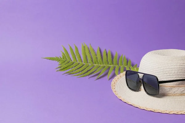 Duży kapelusz w okularach przeciwsłonecznych i liść palmowy na liliowym tle. — Zdjęcie stockowe