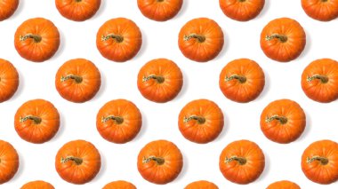 Beyaz arka planda izole edilmiş taze turuncu balkabağı deseni..