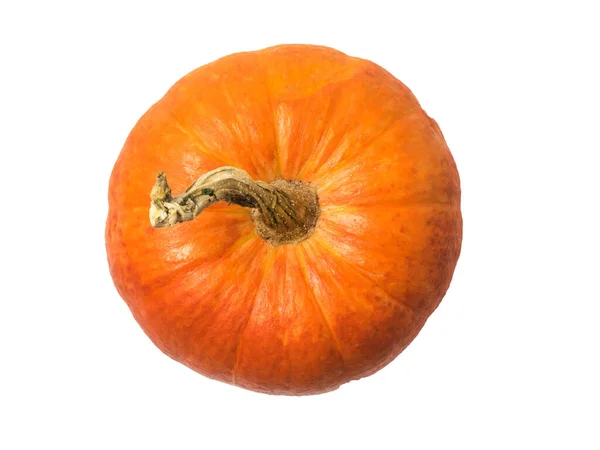 Ripe pumpkin with a dry tail isolated on a white background. The view from the top. — Stock Photo, Image
