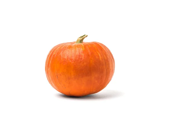 Ripe pumpkin with a dry tail isolated on a white background. — Stock Photo, Image