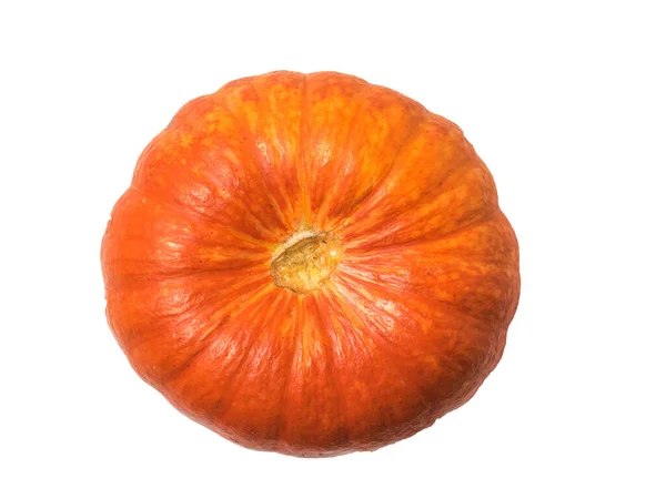 Large ripe orange pumpkin isolated on a white background. The view from the top. — Stock Photo, Image