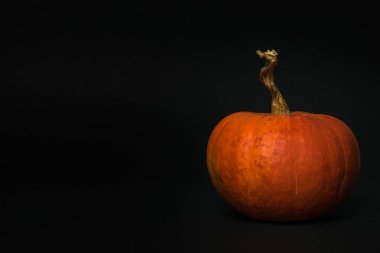 Siyah arka planda sapı olan büyük bir balkabağı..