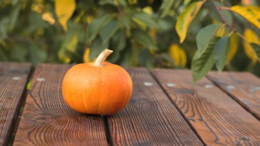 Ağaç zeminine karşı ahşap bir masada olgun bir balkabağı..