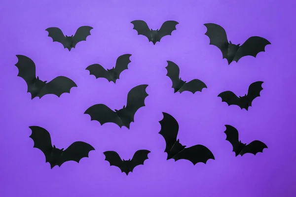Mor arka planda siyah yarasa siluetleri.