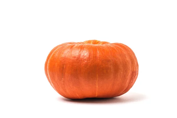 Huge pumpkin isolated on a white background. — Stock Photo, Image