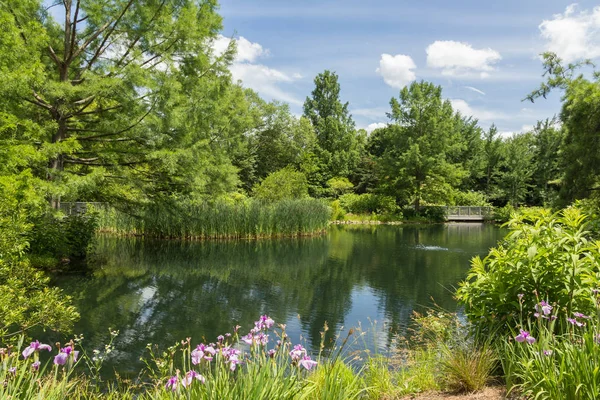 Lewis Ginter Botanical Garden, Richmond, Virginia, EE.UU. — Foto de Stock