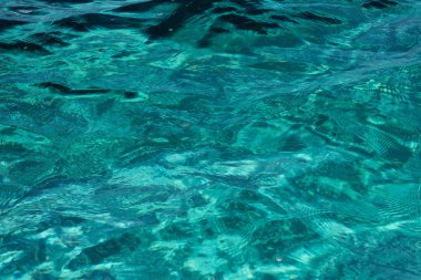 Clear turquoise sea water on sardinian seashore