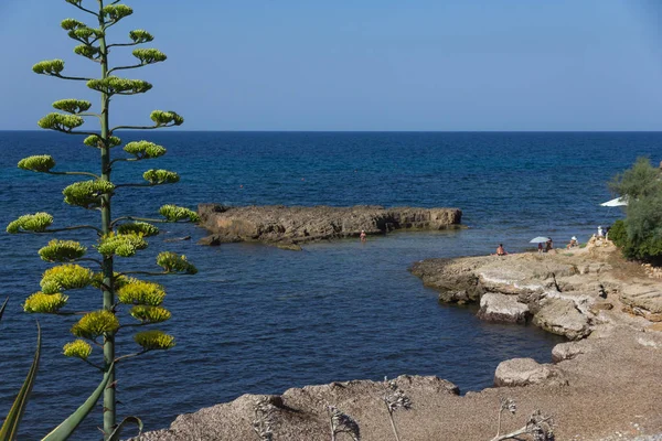 Mořské pobřeží ve městě Alghero, Sardinie, Itálie — Stock fotografie