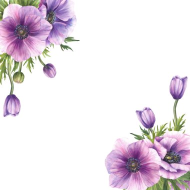 Suluboya Anemone çiçekleri kare çerçevesi. Mor tomurcuklar ve yel çiçeklerinin yeşil yaprakları. Düğün için yeşillik çiçekleri, tebrik kartı şablonu. İzole edilmiş beyaz arkaplanda el çizimi çizimi