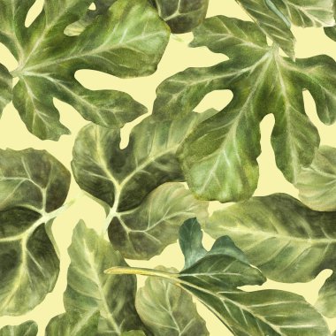 İncir ağacı suluboya desensiz bırakır. Gerçekçi bitki, kumaş, duvar kağıdı, ambalaj, tekstil ürünleri için botanik baskı. İzole edilmiş renkli arkaplanda elle çizilmiş klişe çizimi 