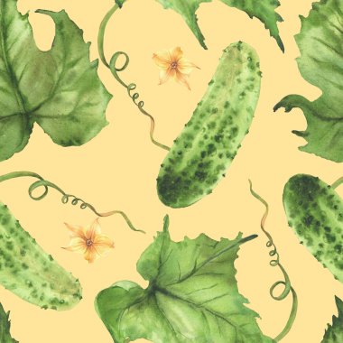 Salatalıklar sulu boya desenli sarı çiçekler, bitki filizleri, tomurcuklar ve yapraklar. Tarla sebze ambalajı için elle çizilmiş suluboya çizimi, izole edilmiş renkli arkaplan üzerine kumaş tasarımı.