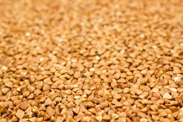 Buğday Taneleri Kahverengi Doku Gıda Makinası — Stok fotoğraf
