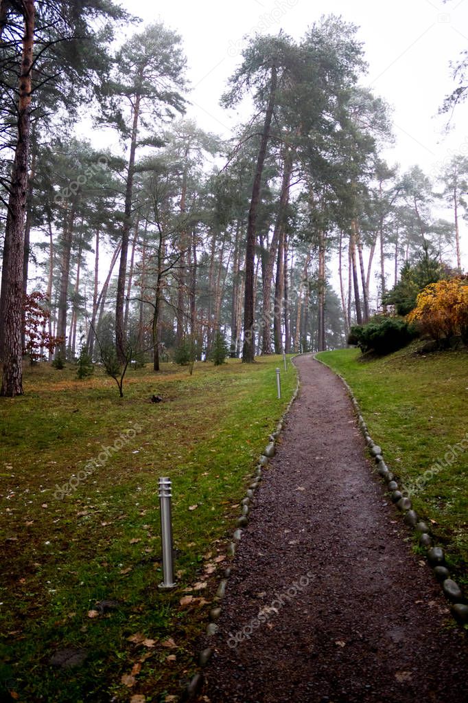 Beautiful path in the park with lanterns between the pines