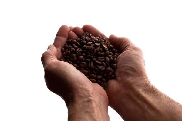 Mão de homem um punhado de grãos de café - silhueta — Fotografia de Stock