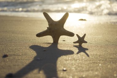 Kum gündoğumu arka plan deniz, ufuk plaj şafak dalga üzerinde Denizyıldızı