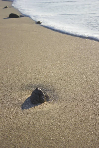 Kum gündoğumu denizde deniz dalgası köpük taş