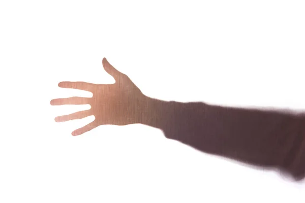 La mano joven con los dedos separados, cinco - silueta, concepto — Foto de Stock