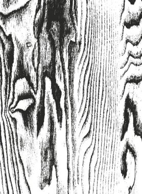 Sıkıntılı kaplaması ahşap doku, grunge vektör arka plan.