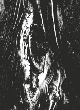 Sıkıntılı kaplaması ahşap doku, grunge vektör arka plan.